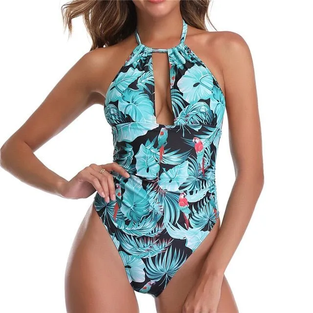 Caroline Plus Size  DD  One Piece Swimsuit