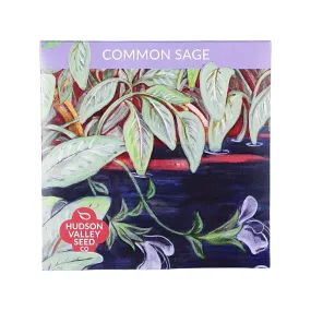 Common Sage Seed Pack