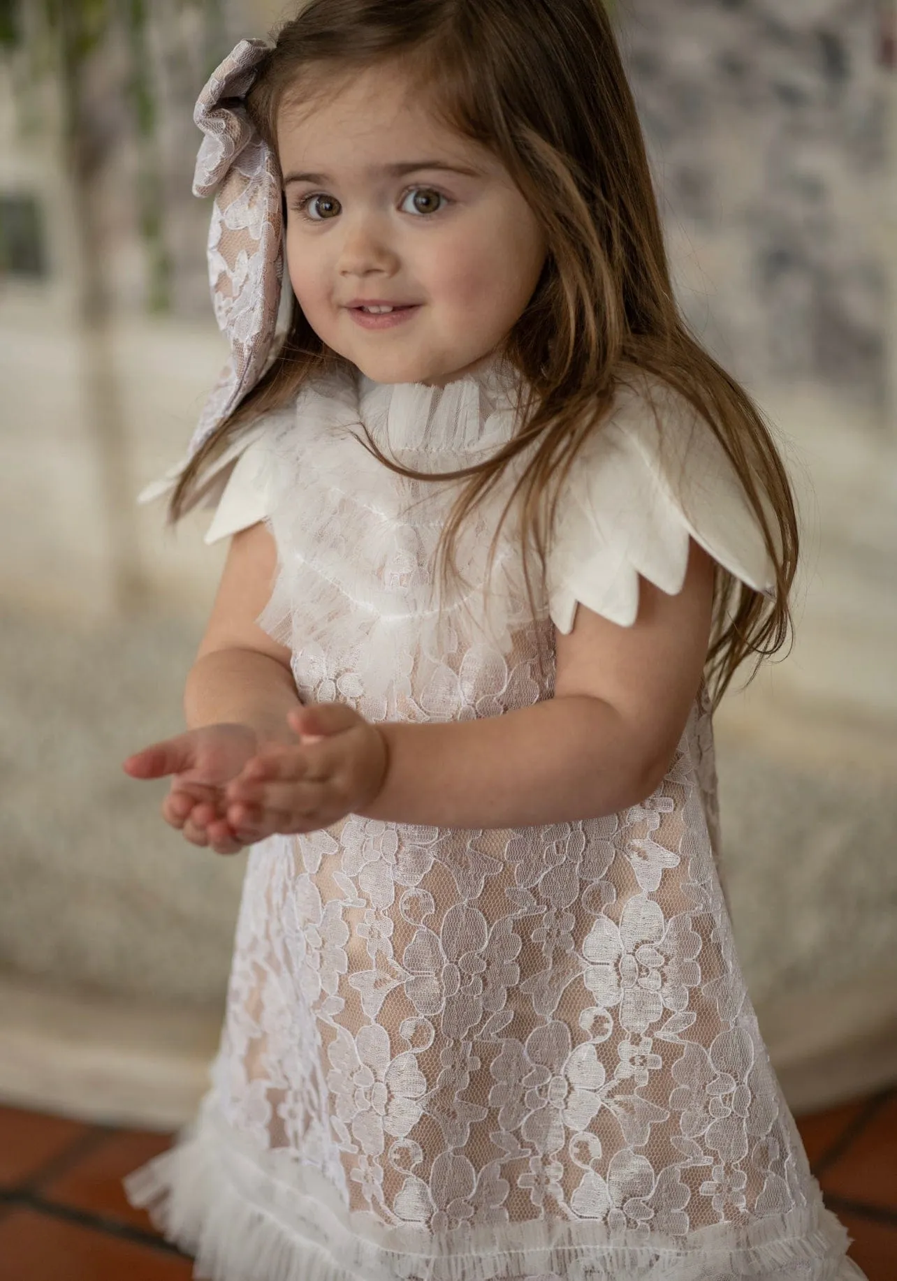 Dove Lace Overlay Beige Dress