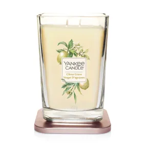 Elevation Large Jar 2-Wick Candle  - Citrus Grove