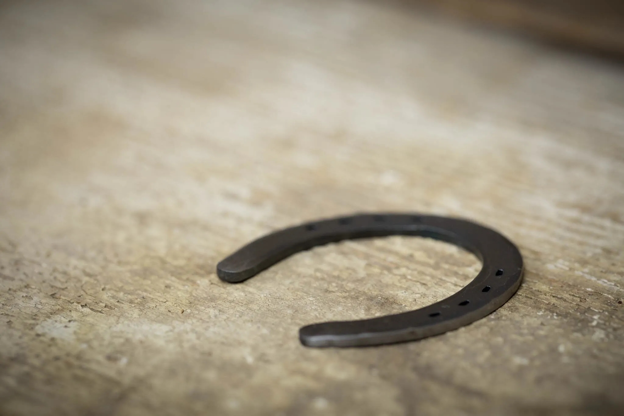 Hand Forged Lucky Horseshoe Ball Mark - Steel