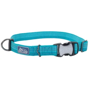 K9 Explorer Brights Reflective Adjustable Dog Collar, Teal X-Small