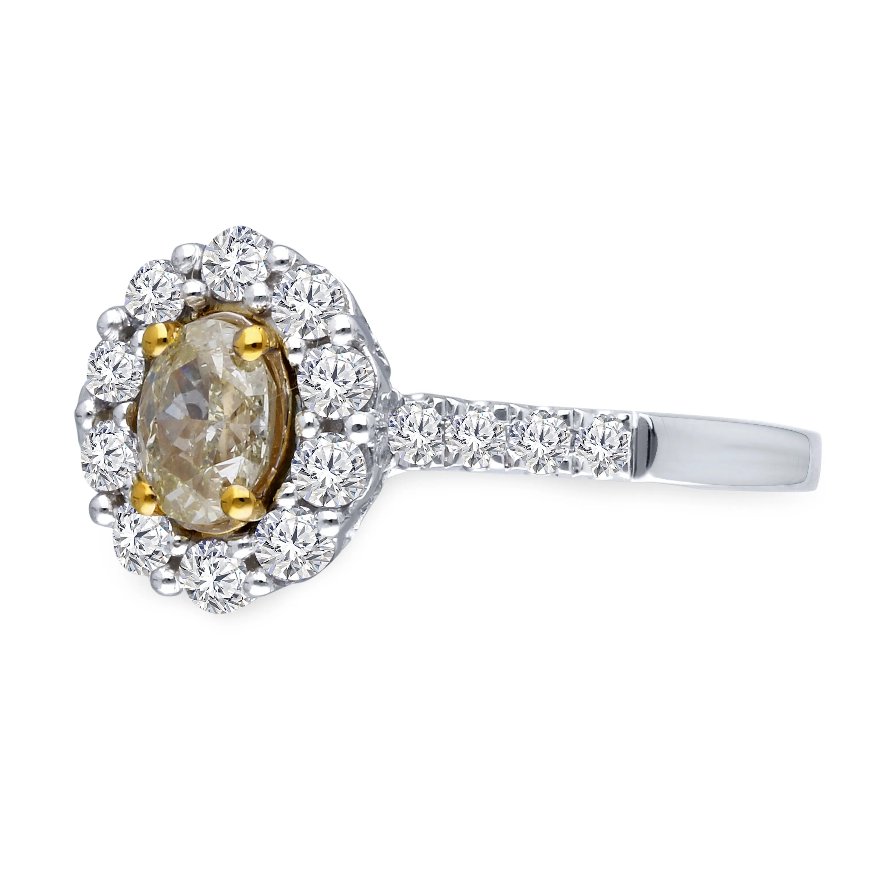 Kallati Eternal Oval Halo Yellow Diamond Engagement Ring in 14K White Gold