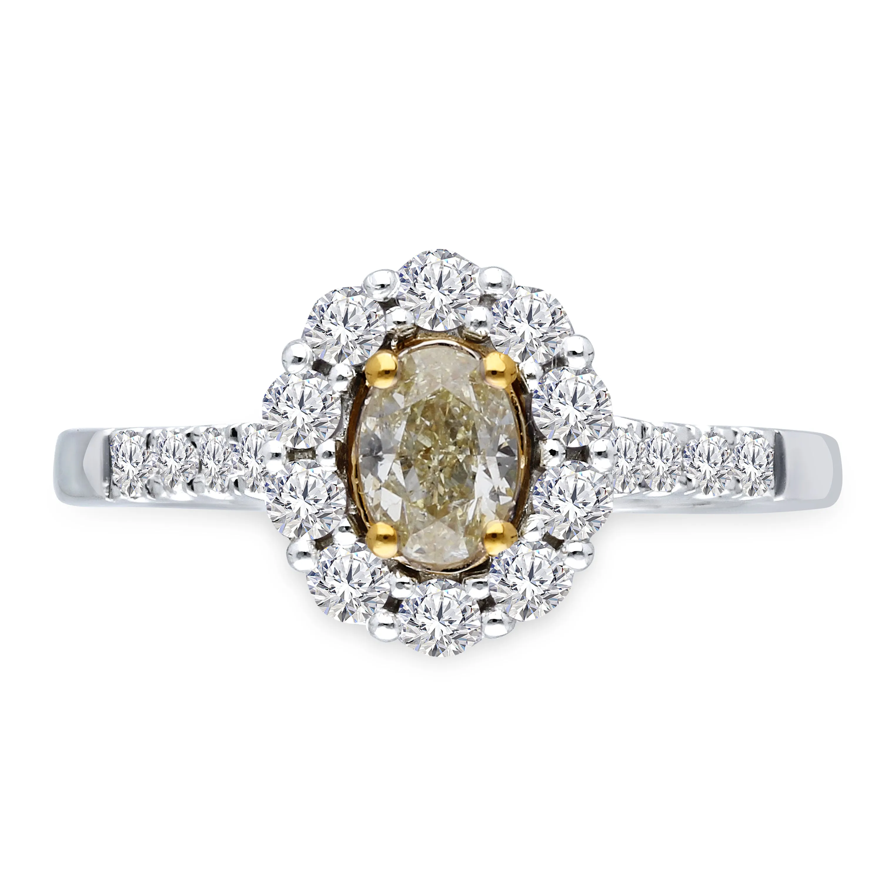 Kallati Eternal Oval Halo Yellow Diamond Engagement Ring in 14K White Gold