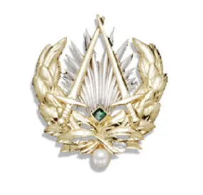 NATO Vigilance Pin